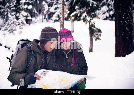 Couple looking at map in forest Stock Photo