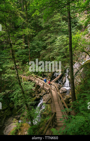 Distant view of hikers crossing wooden footbridge over stream at forest Stock Photo
