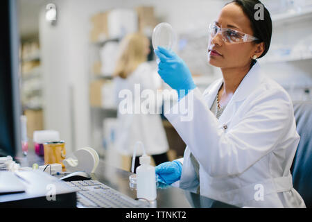 Female doctor examining petri dish at desk with coworker in background at medical room Stock Photo