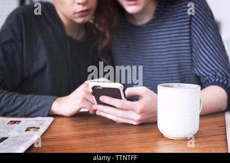 Midsection of lesbians using mobile phone while sitting at home Stock Photo