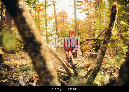 Male lumberjack cutting log with chainsaw in forest Stock Photo