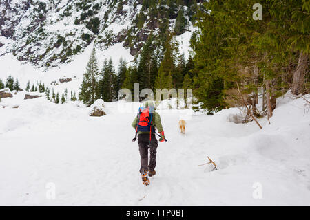 Rear view of male hiker running behind Golden Retriever on snow covered field Stock Photo