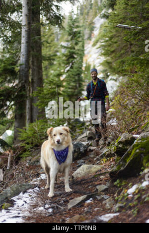 Male hiker with Golden Retriever standing in forest during winter Stock Photo