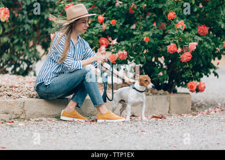 Woman petting Jack Russell Terrier while sitting by plants Stock Photo