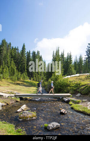 Side view of hikers walking on footbridge over stream against sky Stock Photo