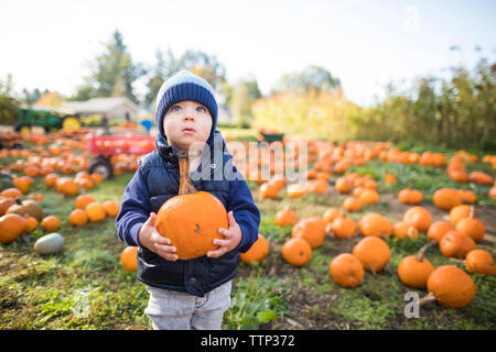 Baby boy carrying pumpkin while standing on field against sky at farm Stock Photo