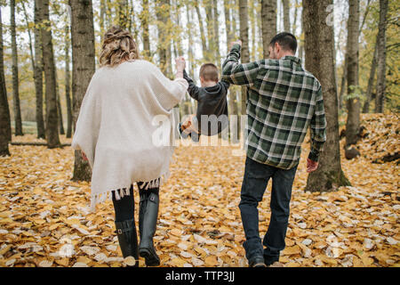 Rear view of playful parents swinging son while holding his hands on leaves in forest during autumn Stock Photo