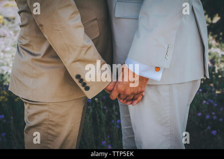 Midsection of gay couple holding hands while standing on field Stock Photo