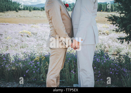 Midsection of homosexual couple holding hands while standing on field Stock Photo