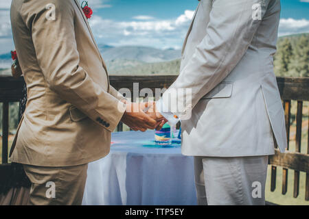 Midsection of homosexual couple holding hands while standing by table Stock Photo