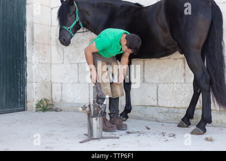 Unrecognisable young farrier bending down horse shoe Stock Photo
