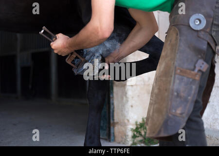 Young farrier horse shoeing Stock Photo