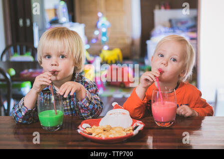 Portrait of brothers drinking juice while sitting at table in house Stock Photo