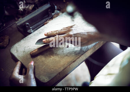 High angle view of woman making cigar Stock Photo
