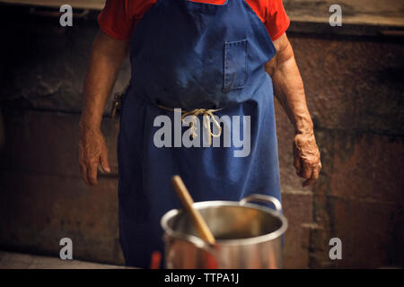 Midsection of female chef standing in kitchen at restaurant Stock Photo