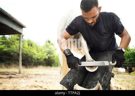 Farrier putting shoe to horse while standing on field against sky Stock Photo