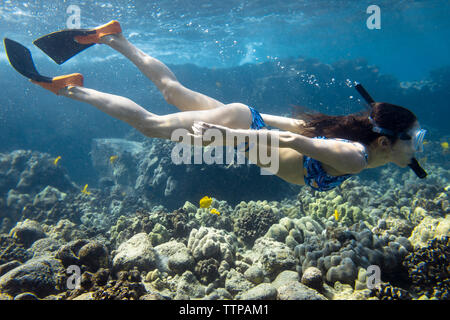 Side view of woman snorkeling in sea Stock Photo