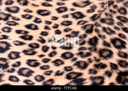 Leopard Print Pattern. Close up of leopard spots faux fur