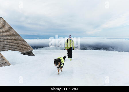 Man walking with dog on snow covered field at Mount Hood against sky Stock Photo