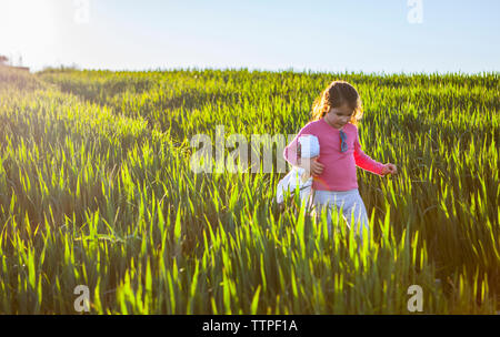 Little girl and her doll walking down by green cereal field at sunset, Spain Stock Photo