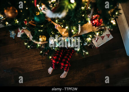 Low section of boy sitting by christmas tree on hardwood floor at home Stock Photo