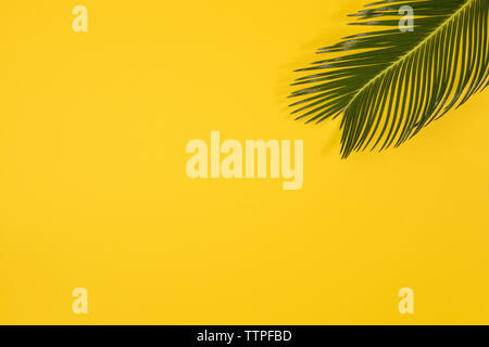 Minimalist summer flat lay with, palm leaves on yellow background Stock Photo