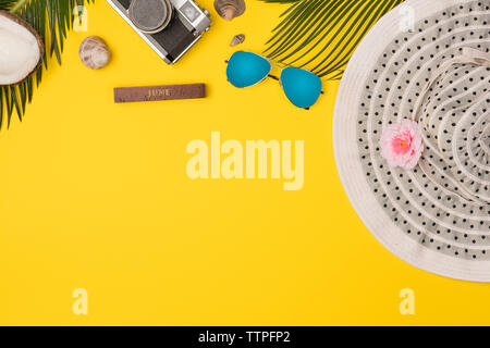 Summer vacation concept. stylish sunglasses, retro photo camera and green palm leaves on yellow background, flat lay. space for text. Stock Photo