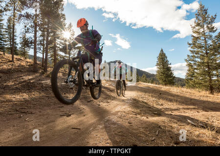 Friends mountain biking on dirt road in forest against cloudy sky Stock Photo