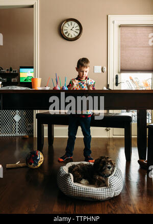 Boy painting his fingers at table while Shih Tzu relaxing in pet bed Stock Photo