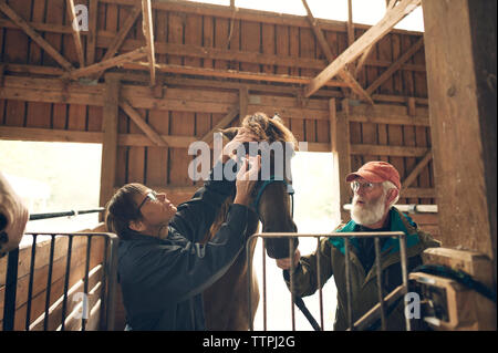 Man looking at female doctor examining horse in stable Stock Photo