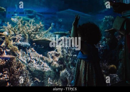 Little girl looking at fish tank Stock Photo