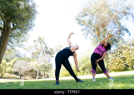 Low angle view of female friends stretching while exercising at park against sky Stock Photo