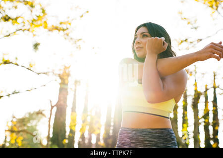 Low angle view of woman stretching arm while standing in park during sunny day Stock Photo