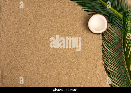 Beach theme on the sand background. Palm leaves, coconut on the sand. Top view. Stock Photo