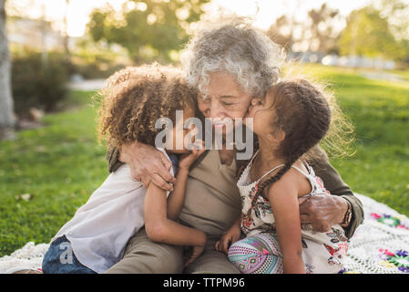 Grandchildren with grandmother on picnic blanket at park Stock Photo
