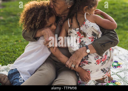 Grandmother embracing grandchildren on picnic blanket at park Stock Photo