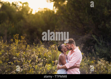 Side view of romantic couple kissing while standing amidst plants in park during sunset Stock Photo