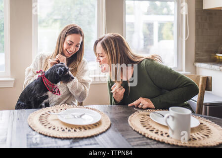 Multigenerational family and small dog eating pancakes for breakfast Stock Photo