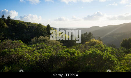 Scenic view of mountains against sky at Muir Woods National Monument Stock Photo