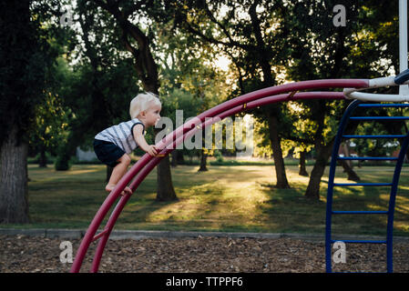 Side view of baby boy climbing monkey bars at playground Stock Photo