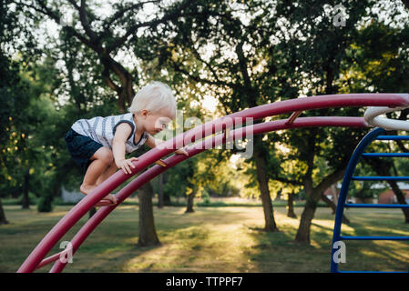 Side view of baby boy climbing monkey bars at park Stock Photo