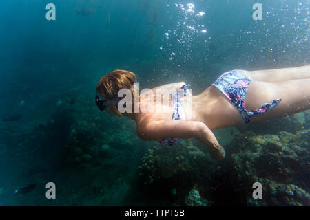 Woman swimming undersea Stock Photo