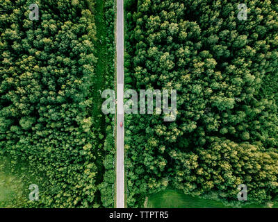 Aerial view of road amidst trees during sunny day Stock Photo - Alamy