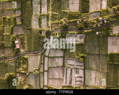 Aerial view of the agricultural fields near the road Stock Photo