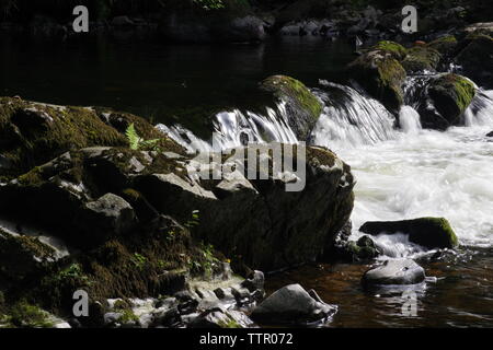 Rapids along the River Dart Flowing Through Hembury Woods on a Late Summers Afternoon. Buckfastleigh, Dartmoor, Devon, UK. Stock Photo
