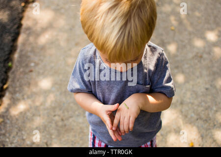 High angle view of boy looking at caterpillar on hand Stock Photo