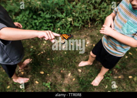 Boy holding Monarch butterfly on finger while another boy looks on Stock Photo