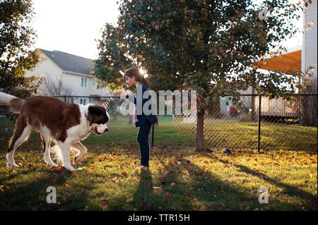 Side view of girl playing with Saint Bernard while standing on field in backyard Stock Photo