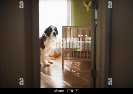 Dog sitting on floor while baby boy sleeping in crib seen through doorway Stock Photo