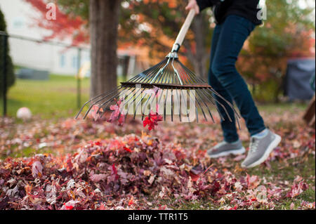 Pre teen girl doing chores raking up colorful autumn leaves Stock Photo